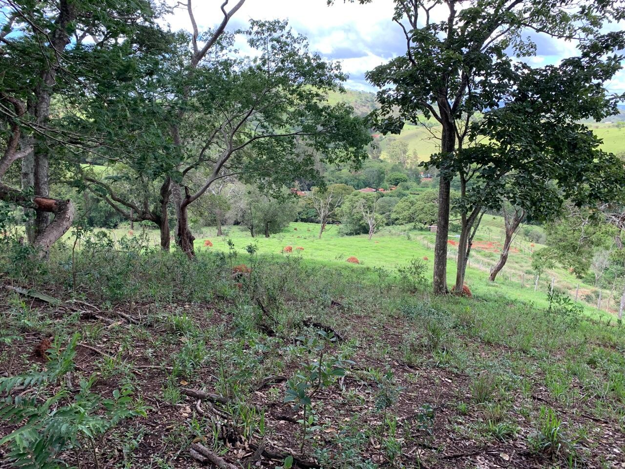 Excelente área rural para venda entre São Lourenço e Soledade MG