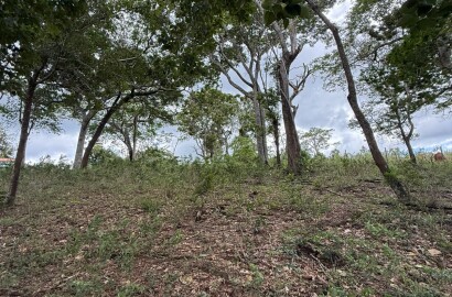 Excelente área rural para venda entre São Lourenço e Soledade MG
