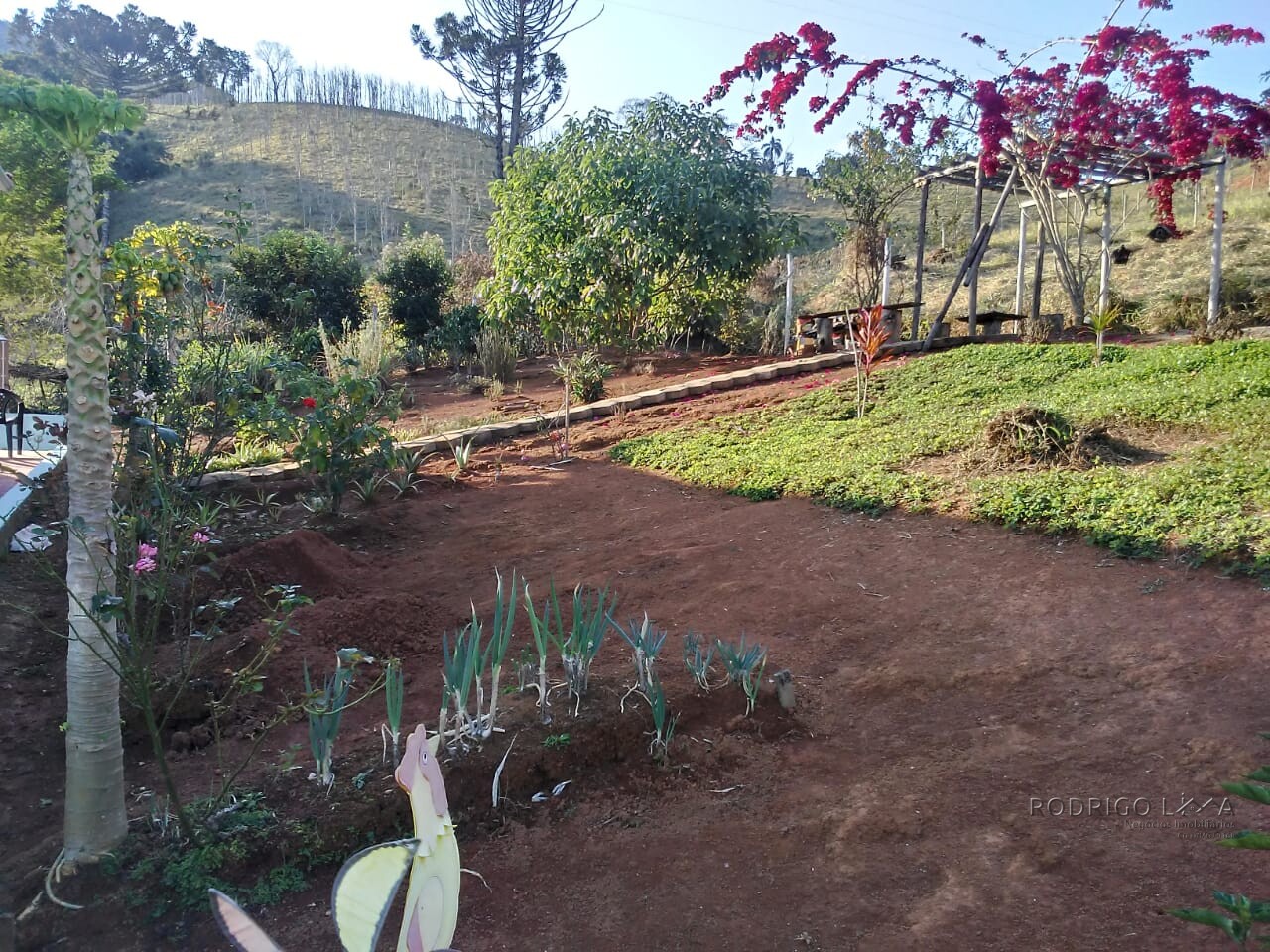 Lote para venda em São lourenço MG