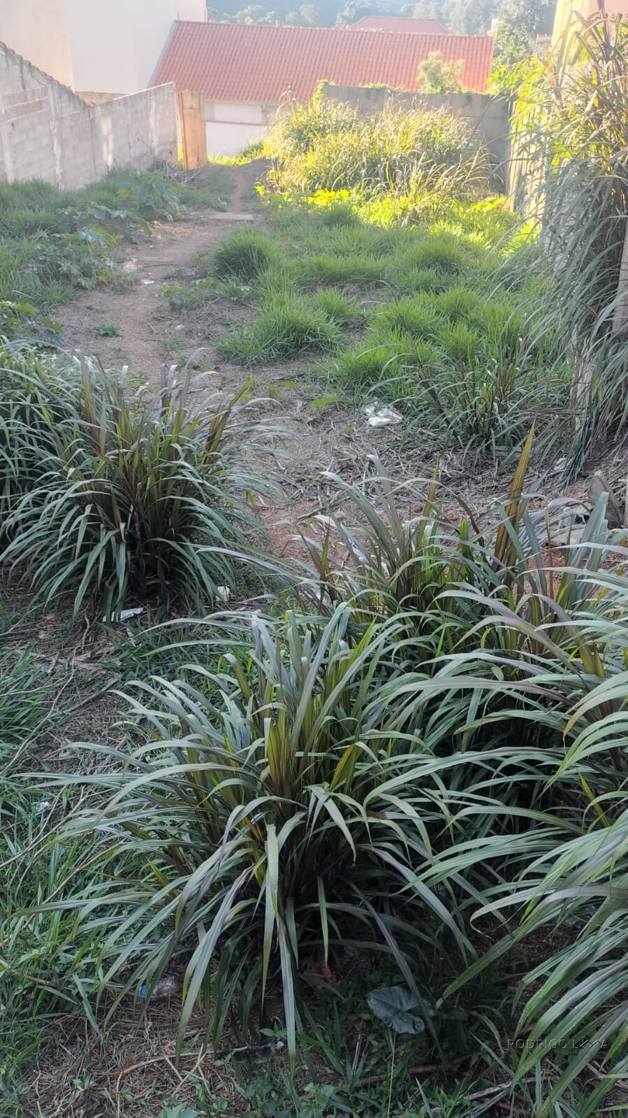 Lote para venda em São Lourenço