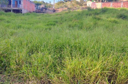Lote para venda em São Loureço MG