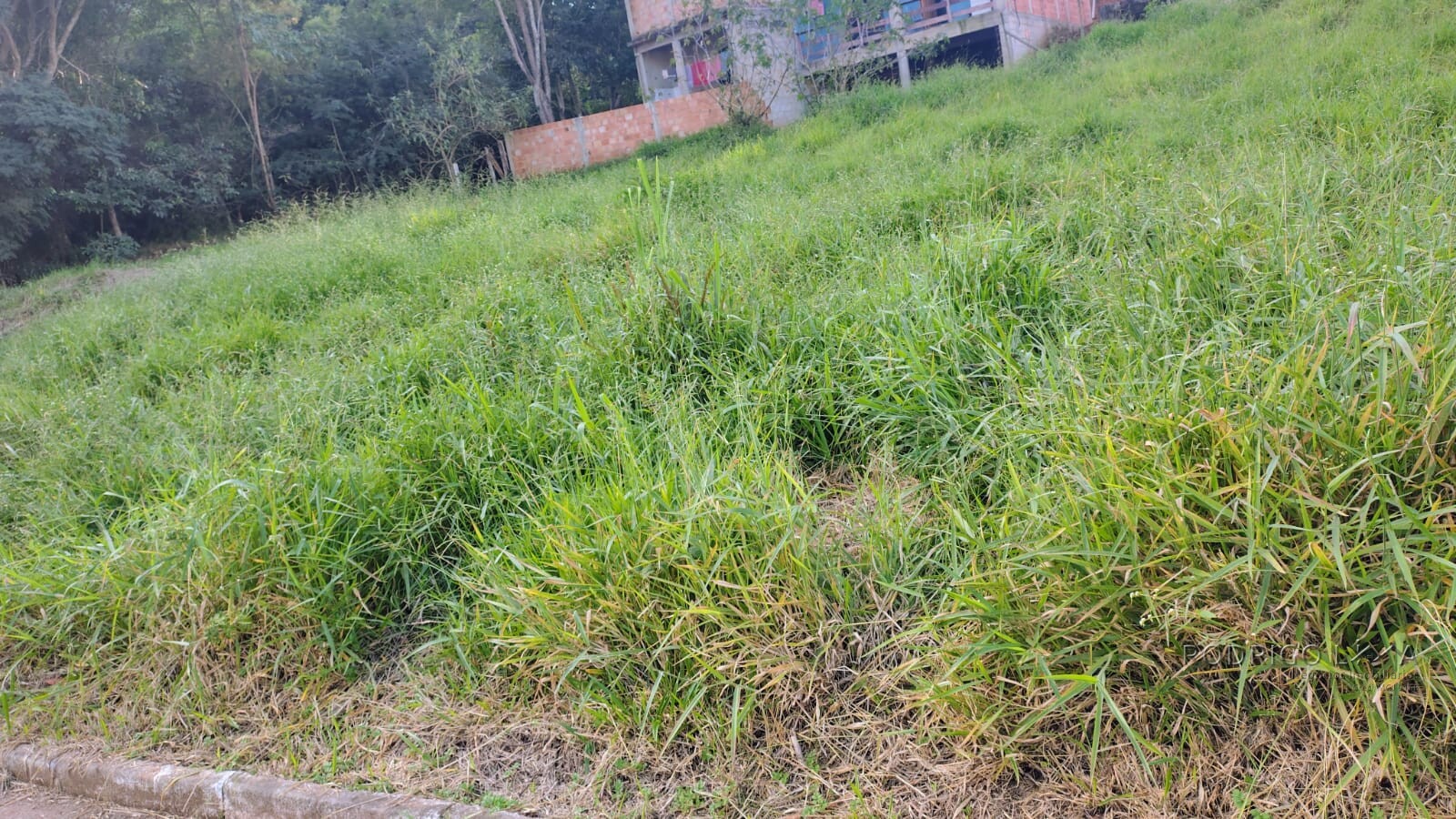 Lote para venda em São Loureço MG