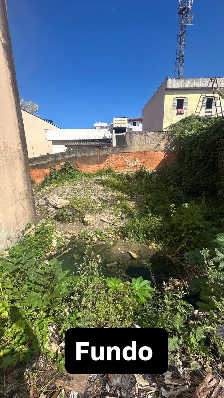 Lote para venda em São Thomè das Letras MG