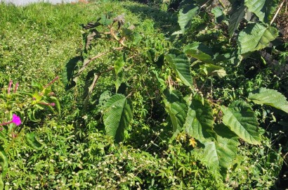 Lote para venda em Carmo de Minas MG