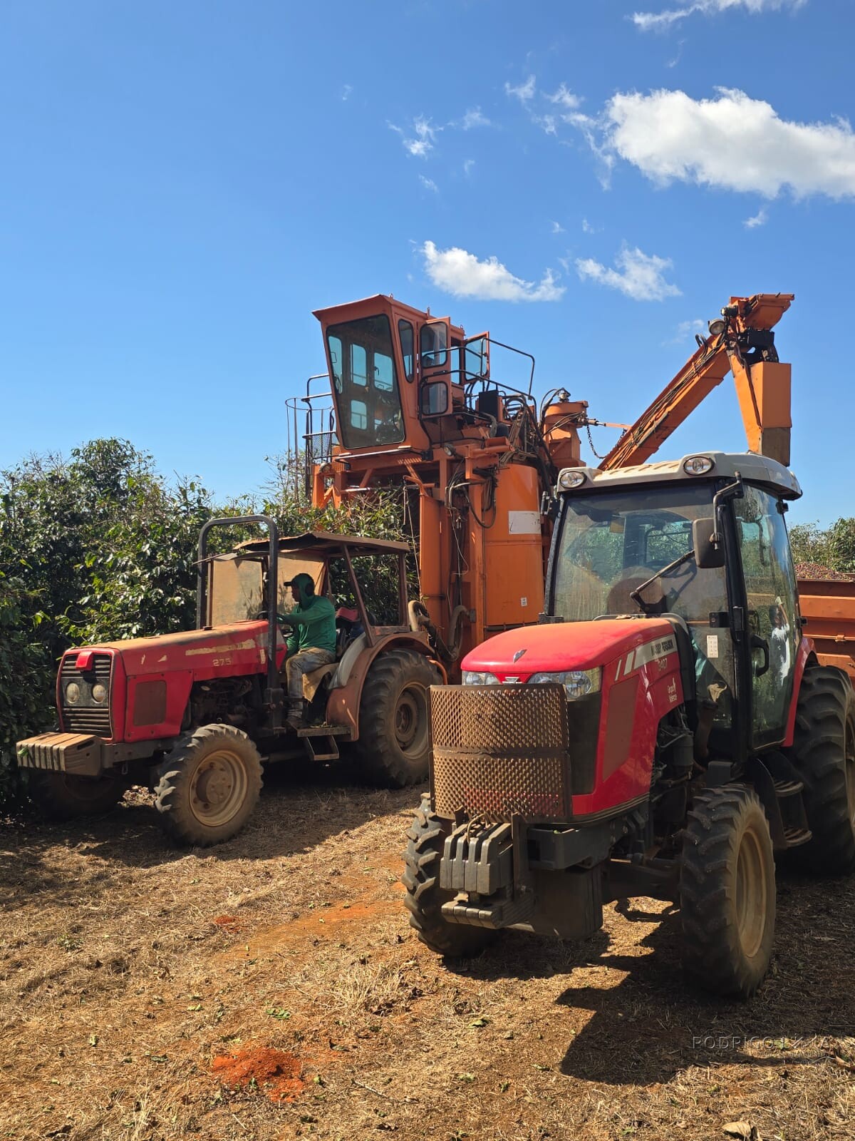 Fazenda para venda em Setubinha MG