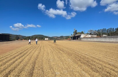 Fazenda para venda em Setubinha MG