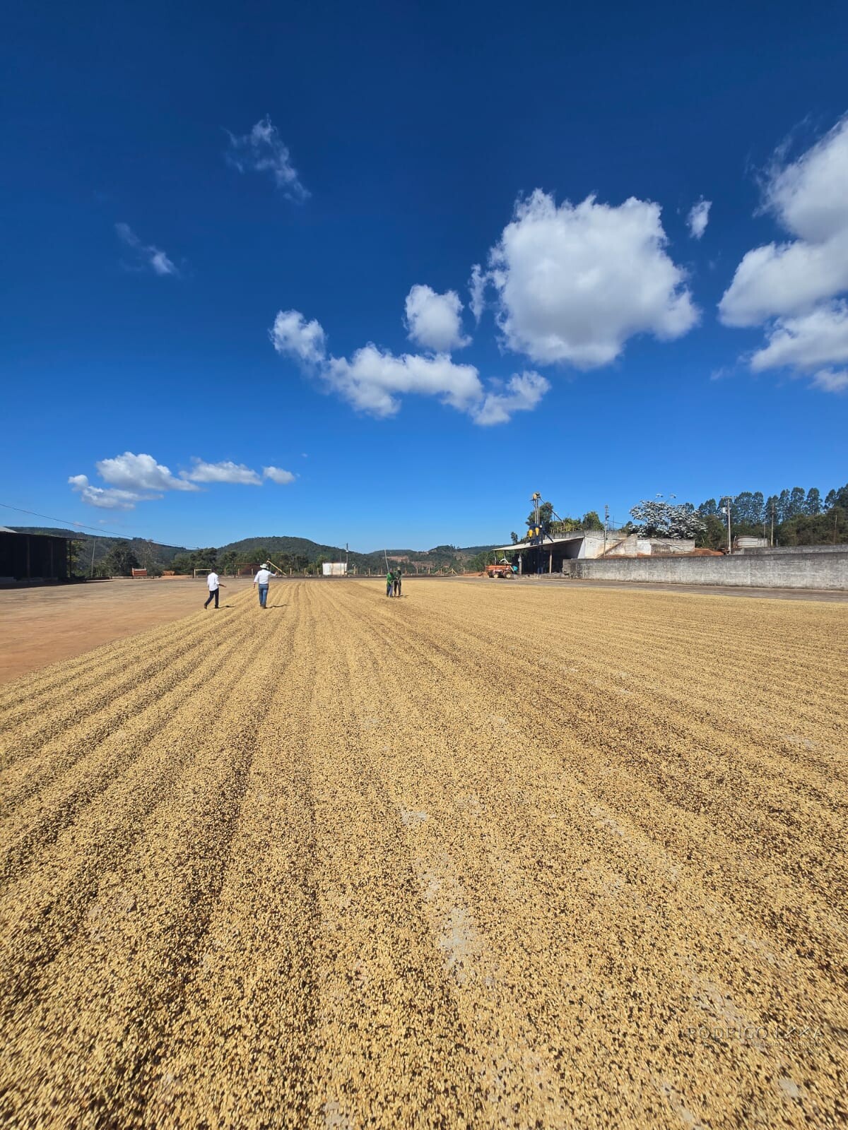 Fazenda para venda em Setubinha MG