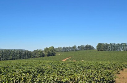 Fazenda para venda em Setubinha MG