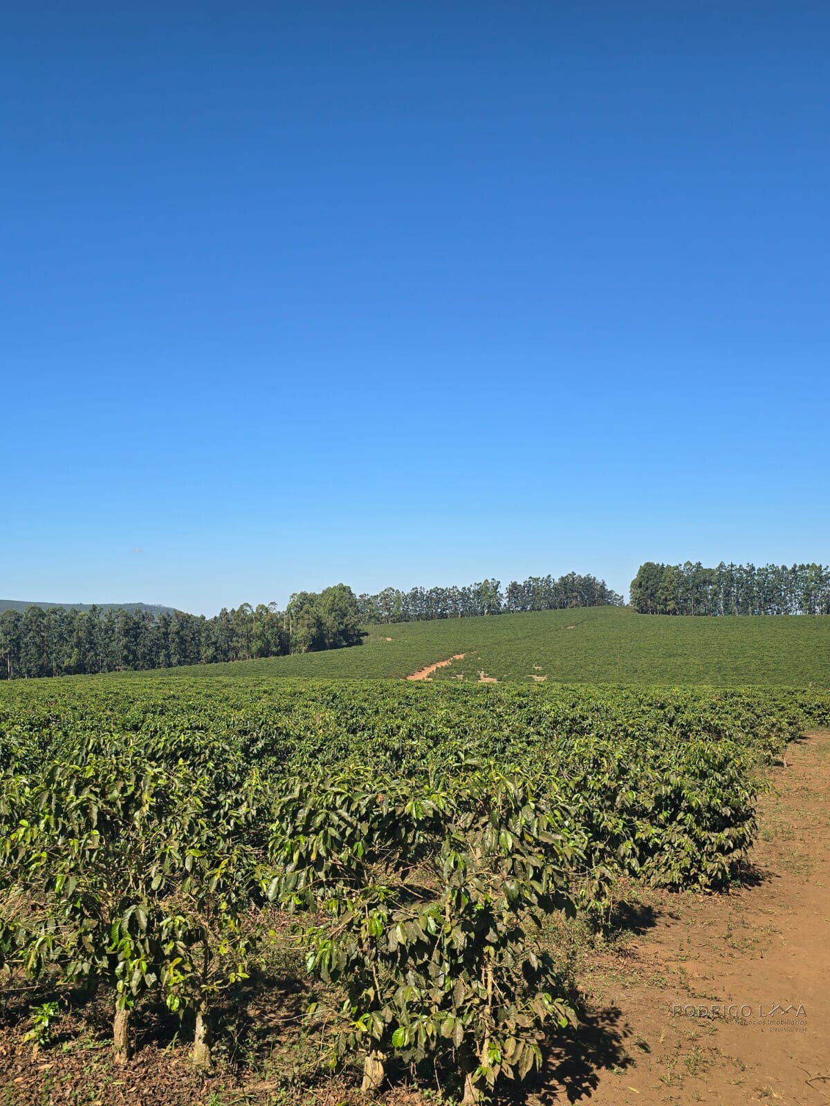 Fazenda para venda em Setubinha MG