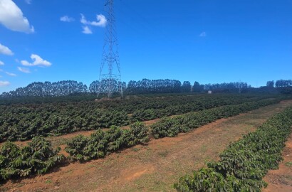 Fazenda para venda em Setubinha MG