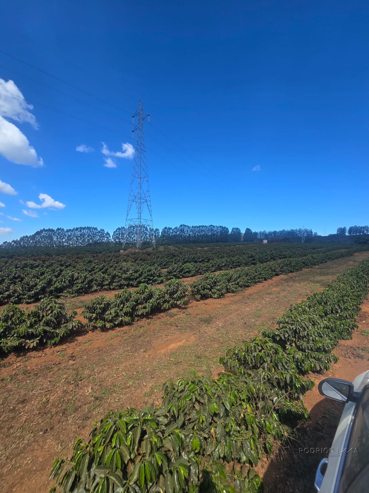 Fazenda para venda em Setubinha MG