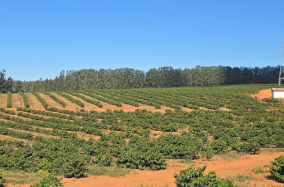 Fazenda para venda em Setubinha MG