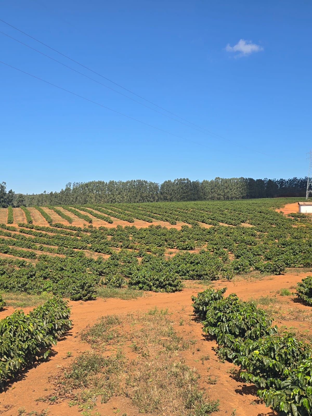 Fazenda para venda em Setubinha MG