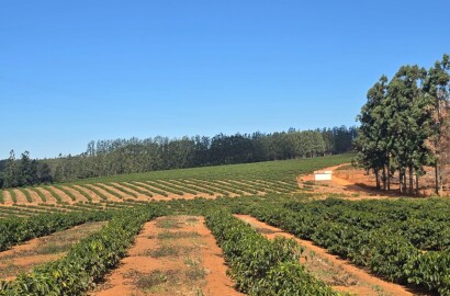 Fazenda para venda em Setubinha MG