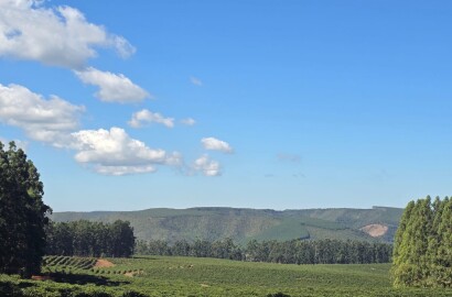 Fazenda para venda em Setubinha MG