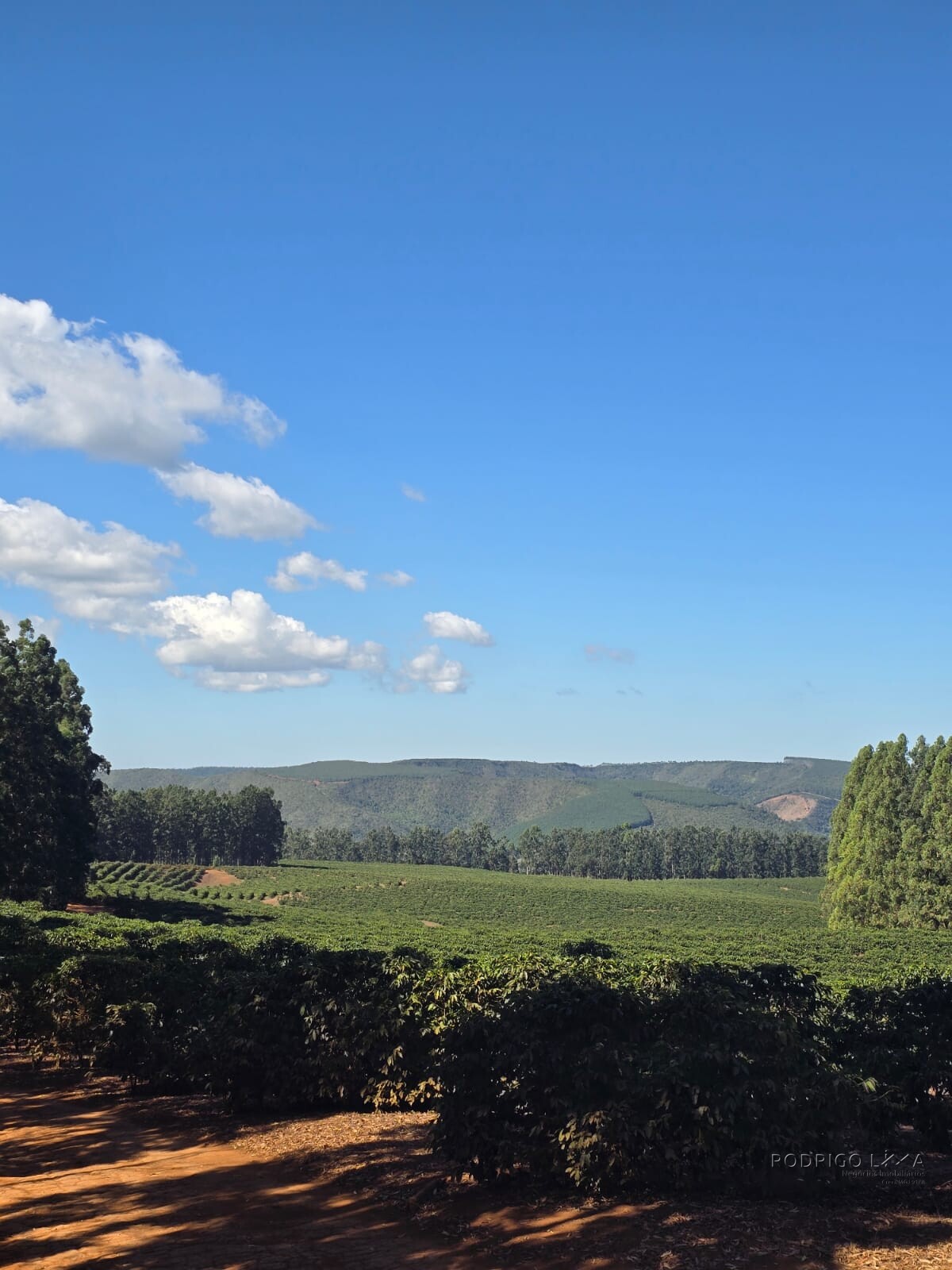 Fazenda para venda em Setubinha MG