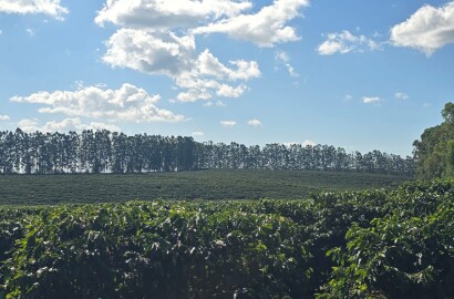 Fazenda para venda em Setubinha MG