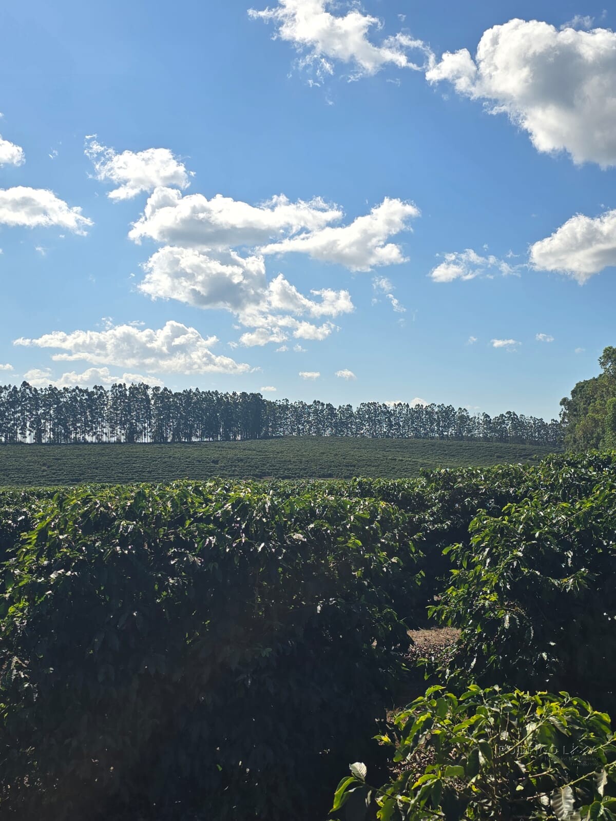 Fazenda para venda em Setubinha MG