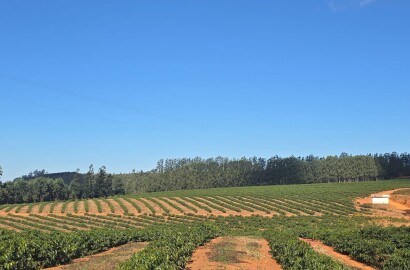 Fazenda para venda em Setubinha MG