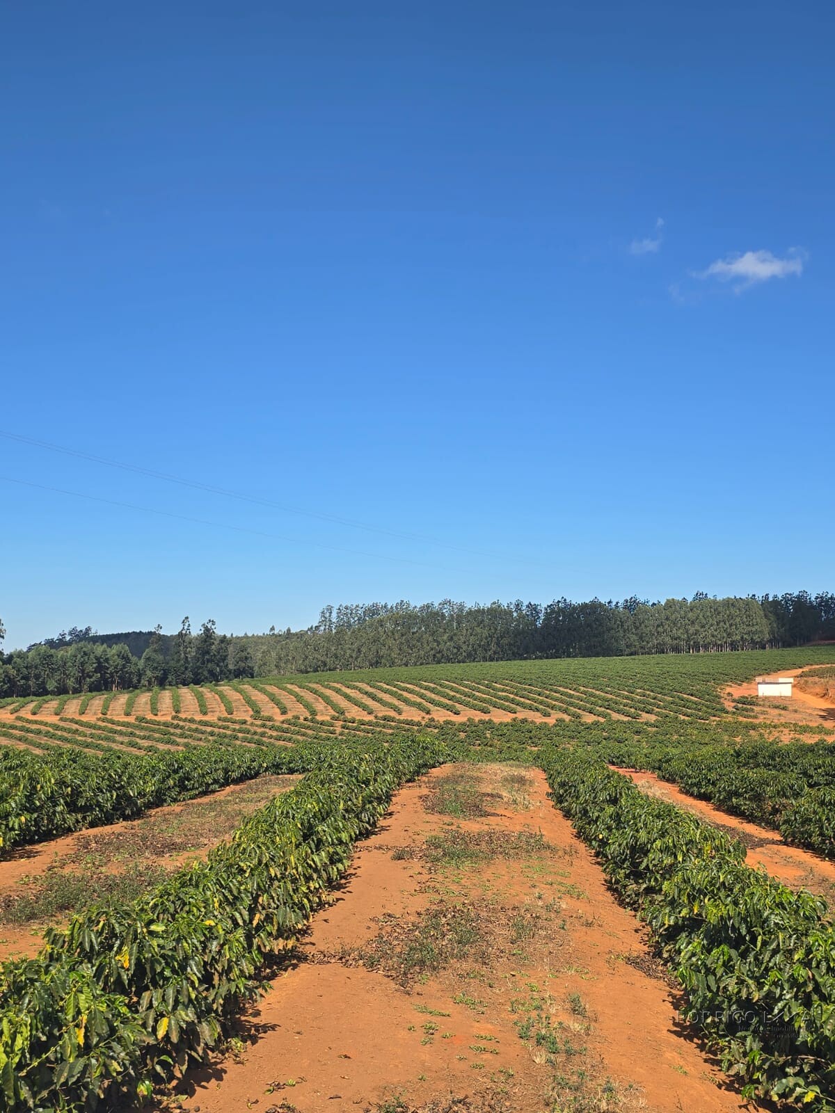 Fazenda para venda em Setubinha MG