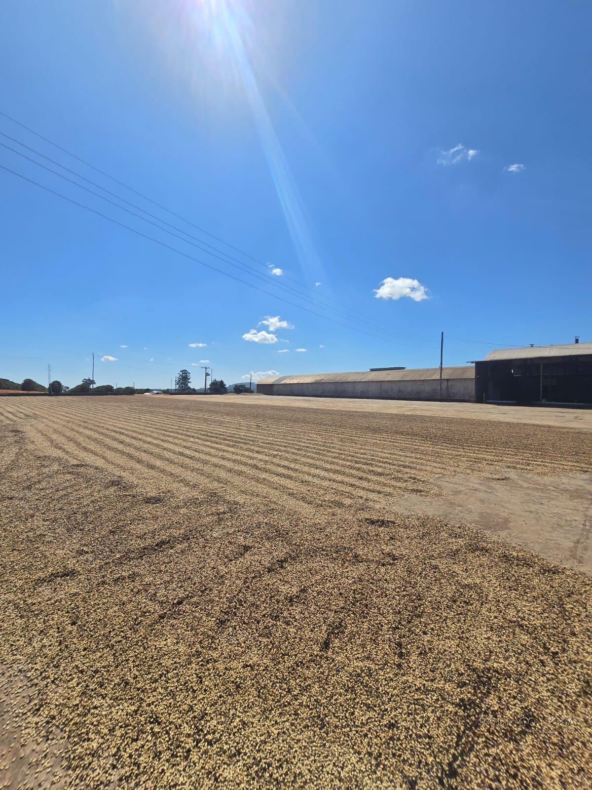 Fazenda para venda em Setubinha MG