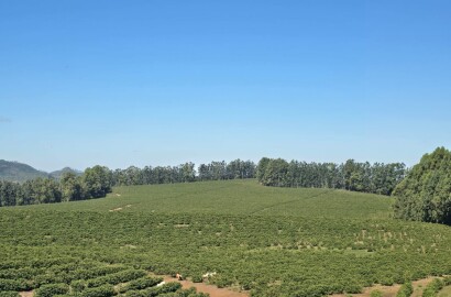 Fazenda para venda em Setubinha MG