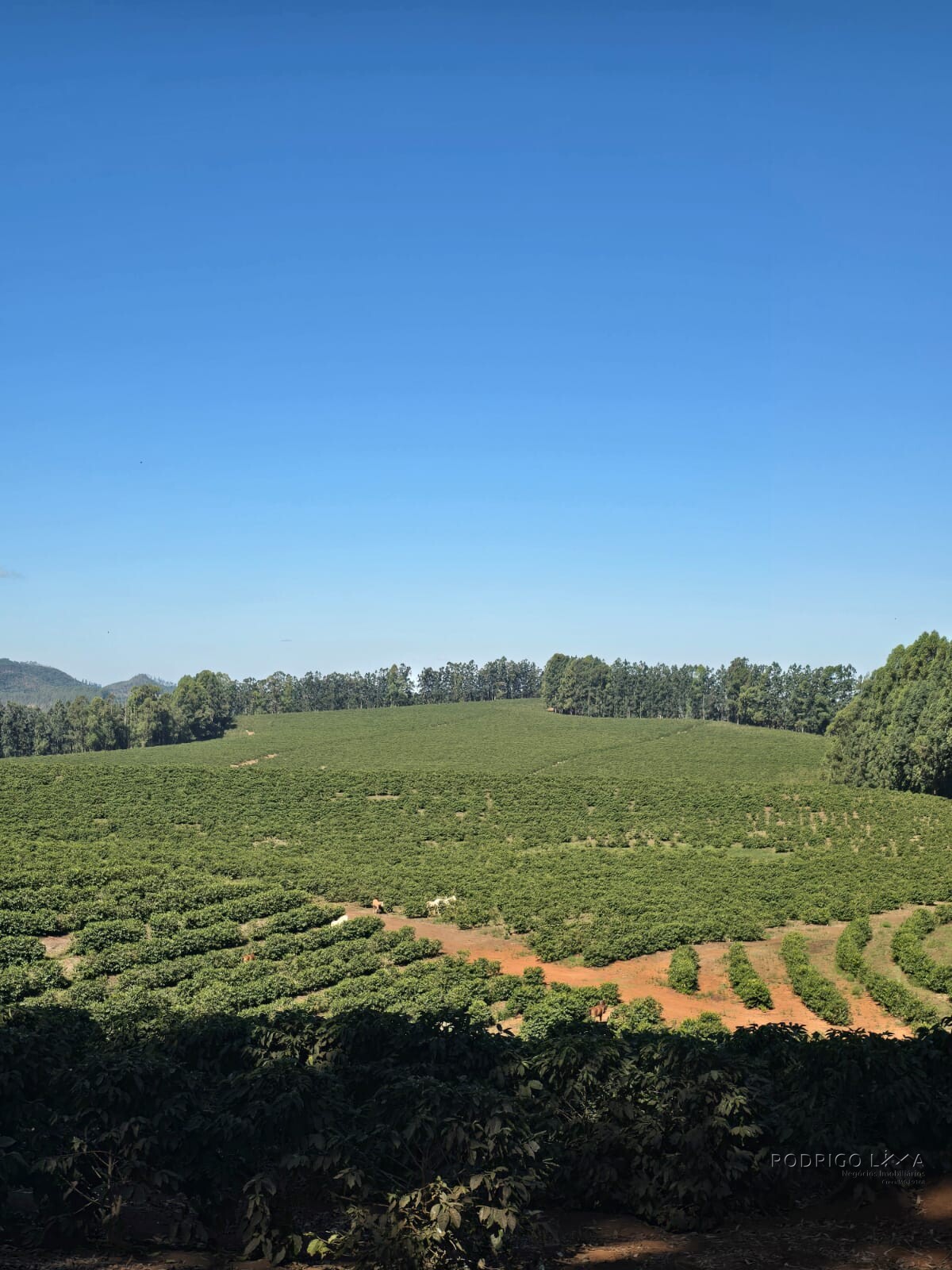 Fazenda para venda em Setubinha MG