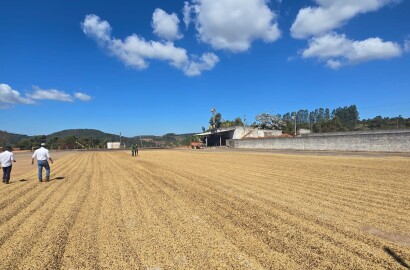 Fazenda para venda em Setubinha MG