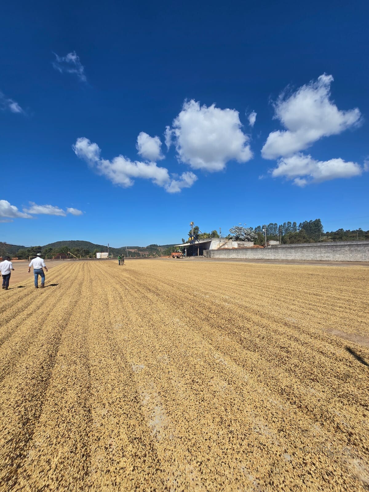 Fazenda para venda em Setubinha MG