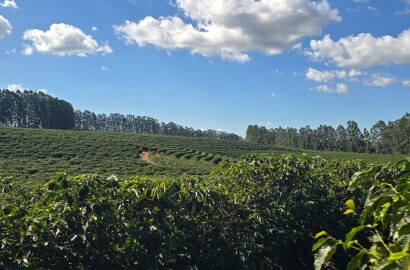 Fazenda para venda em Setubinha MG