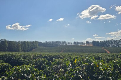 Fazenda para venda em Setubinha MG