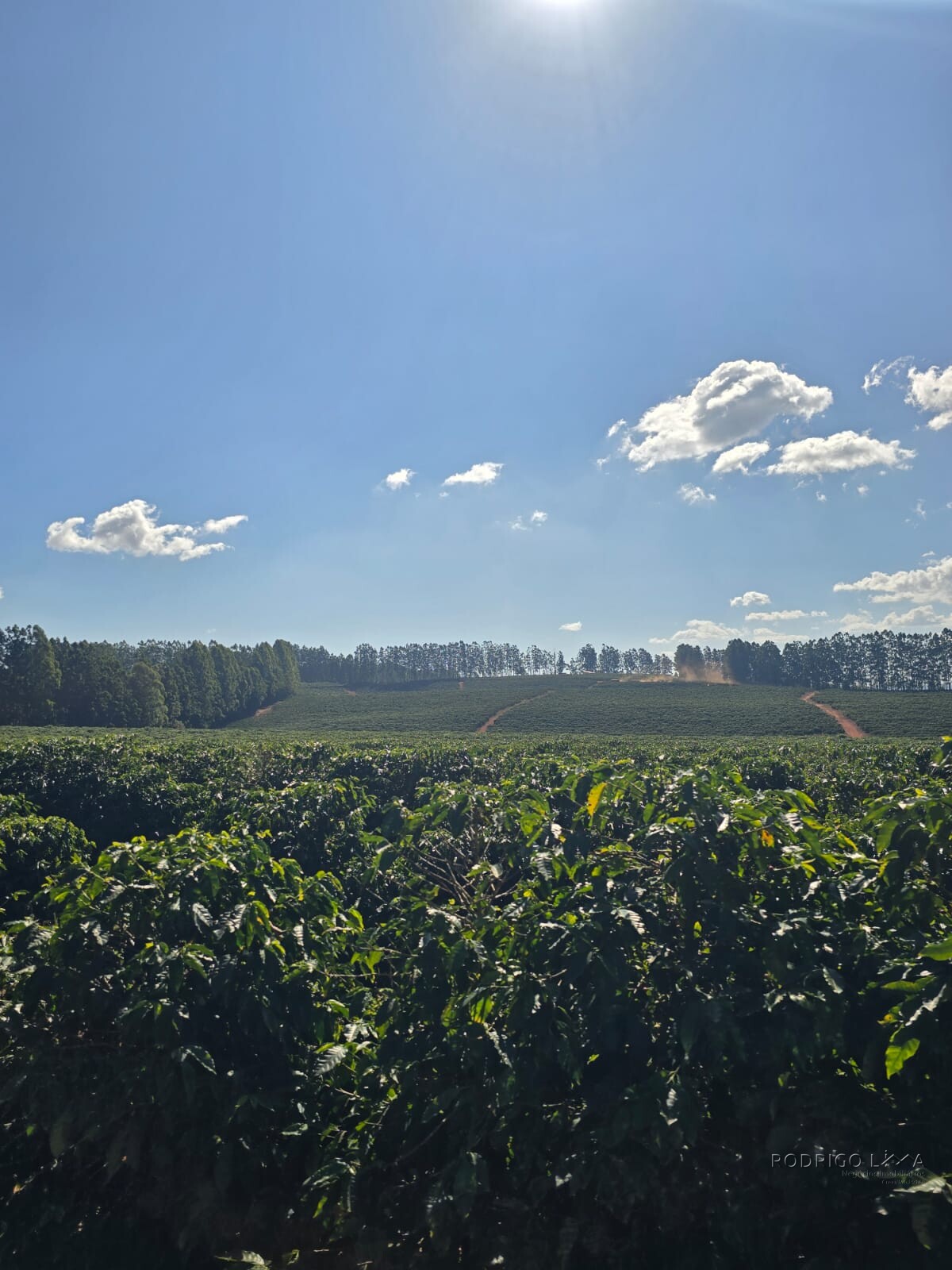 Fazenda para venda em Setubinha MG