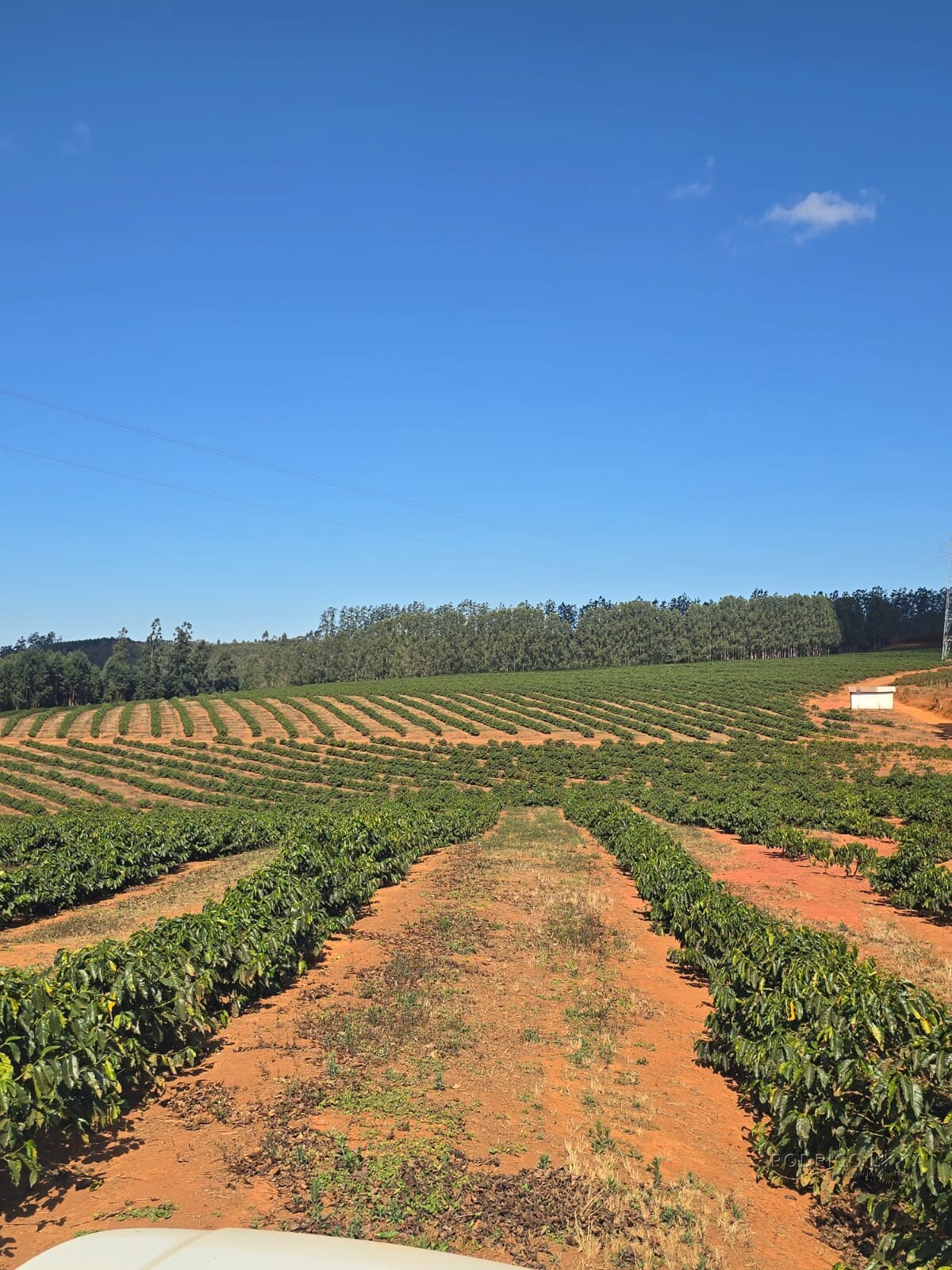 Fazenda para venda em Setubinha MG