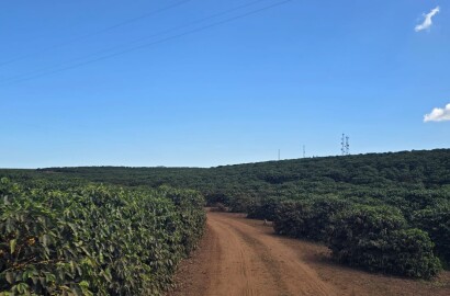 Fazenda para venda em Setubinha MG