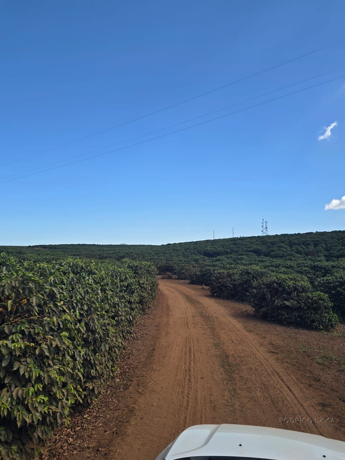 Fazenda para venda em Setubinha MG