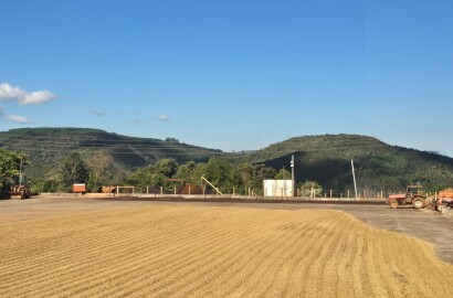 Fazenda para venda em Setubinha MG