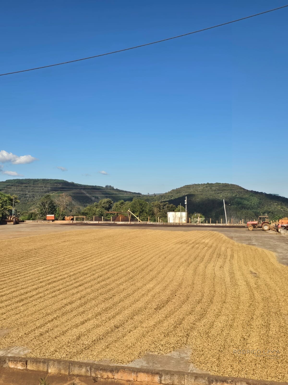 Fazenda para venda em Setubinha MG