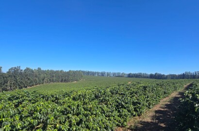 Fazenda para venda em Setubinha MG