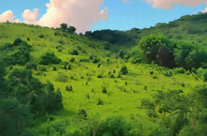 Sítio para venda com 15 hectares em Baependi MG