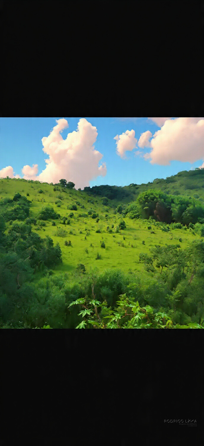 Sítio para venda com 15 hectares em Baependi MG