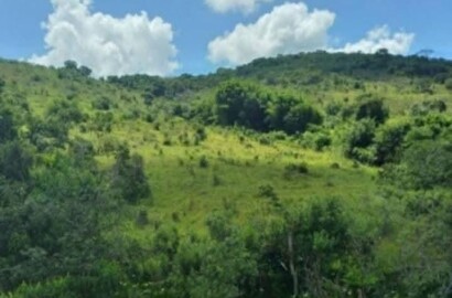 Sítio para venda com 15 hectares em Baependi MG