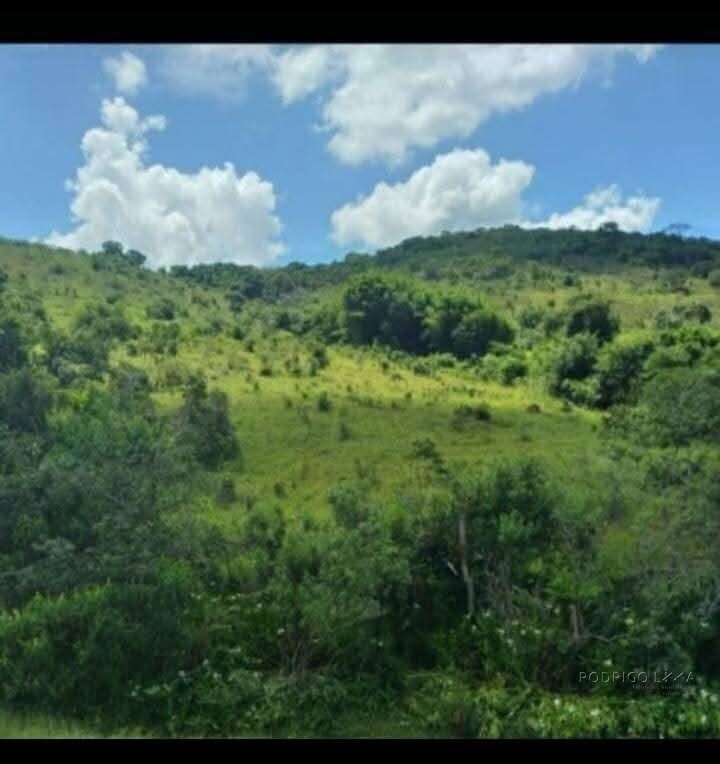 Sítio para venda com 15 hectares em Baependi MG
