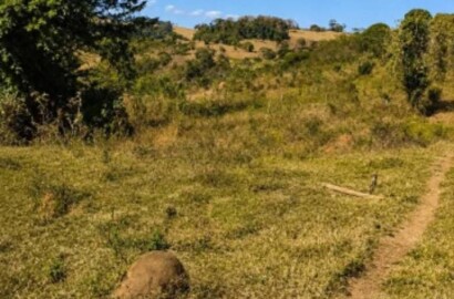 Sítio para venda com 15 hectares em Baependi MG