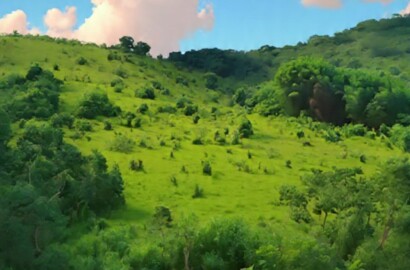 Sítio para venda com 15 hectares em Baependi MG
