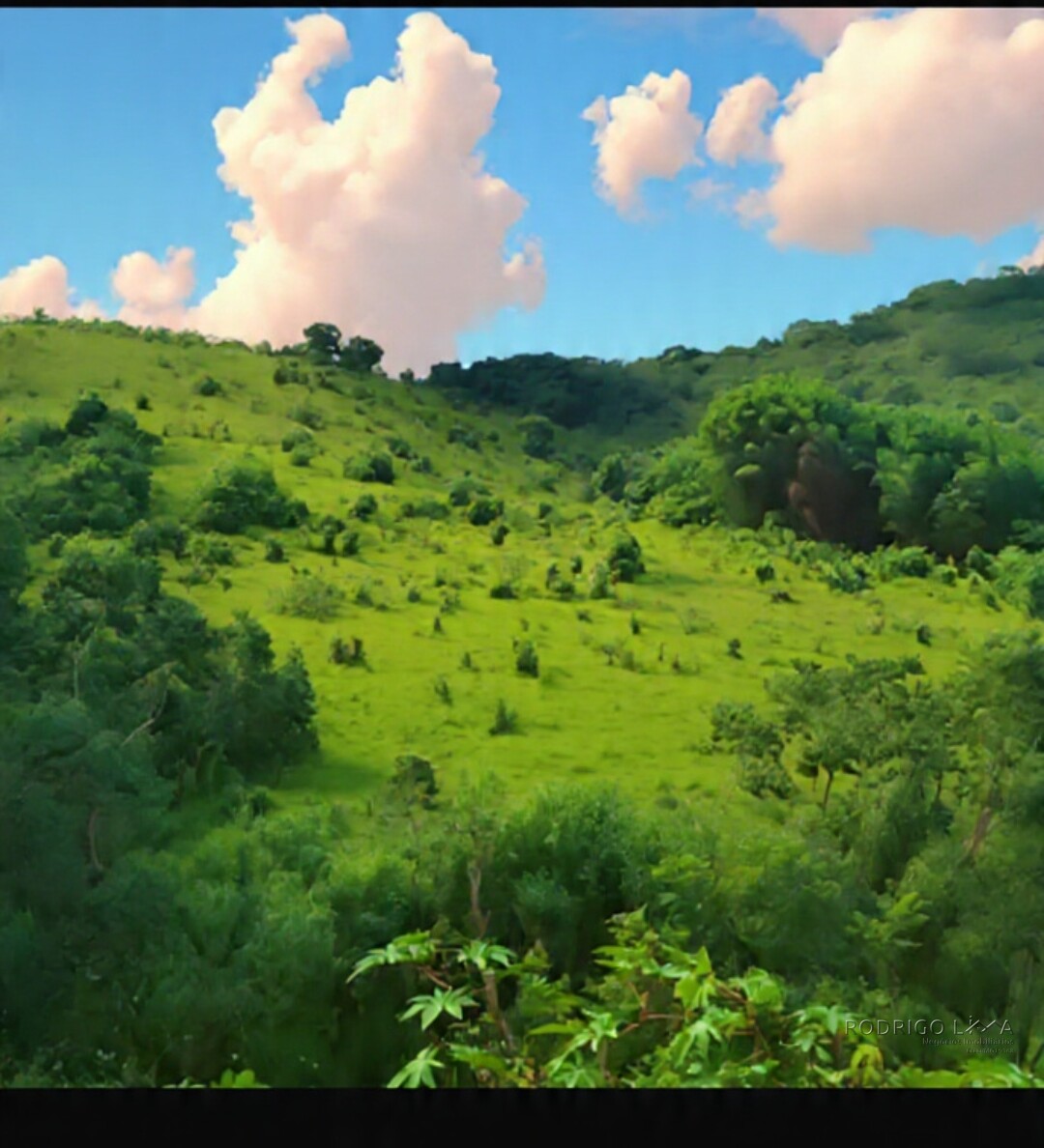 Sítio para venda com 15 hectares em Baependi MG