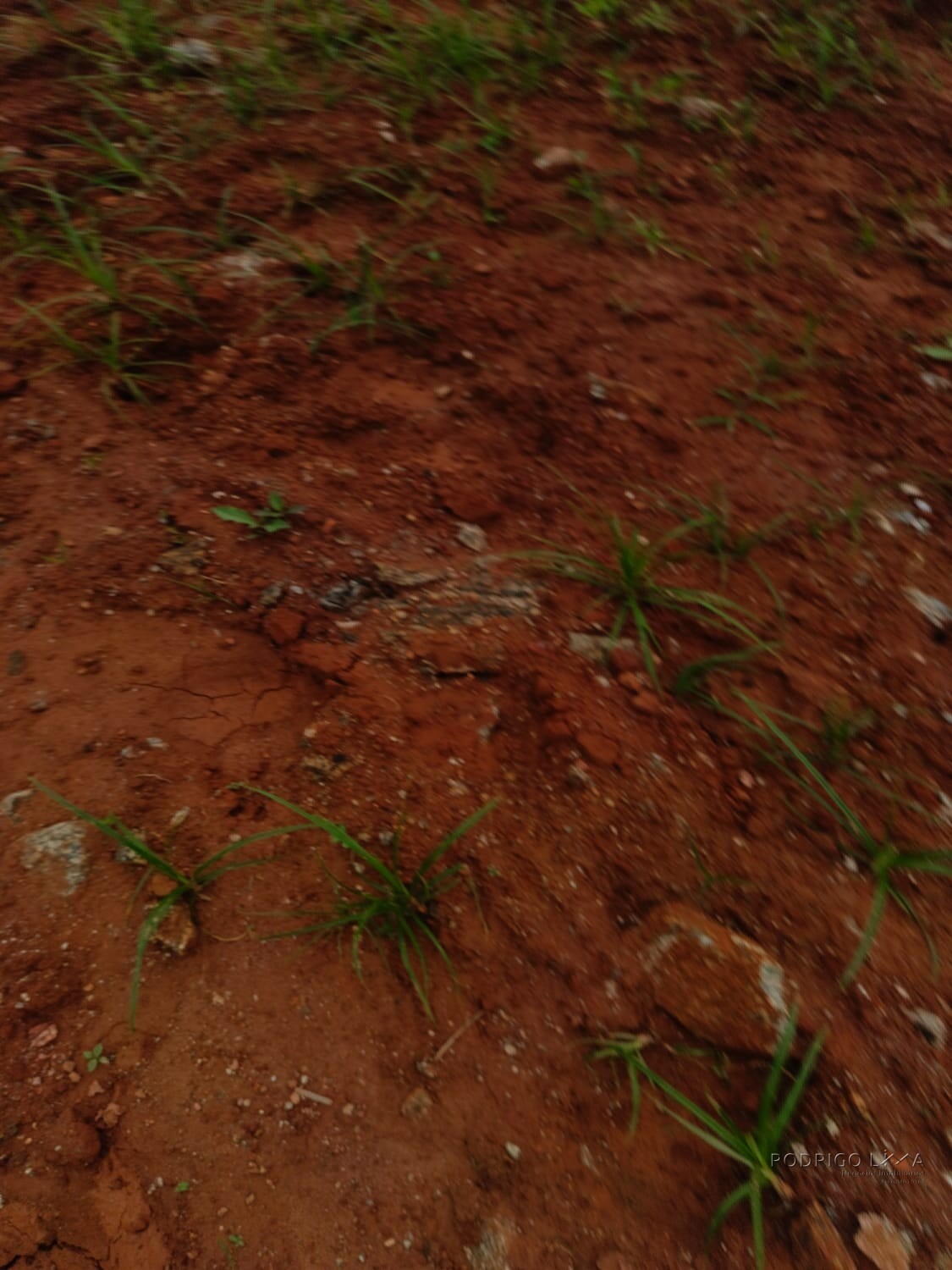 Terreno para venda em Carmo de Minas Mg