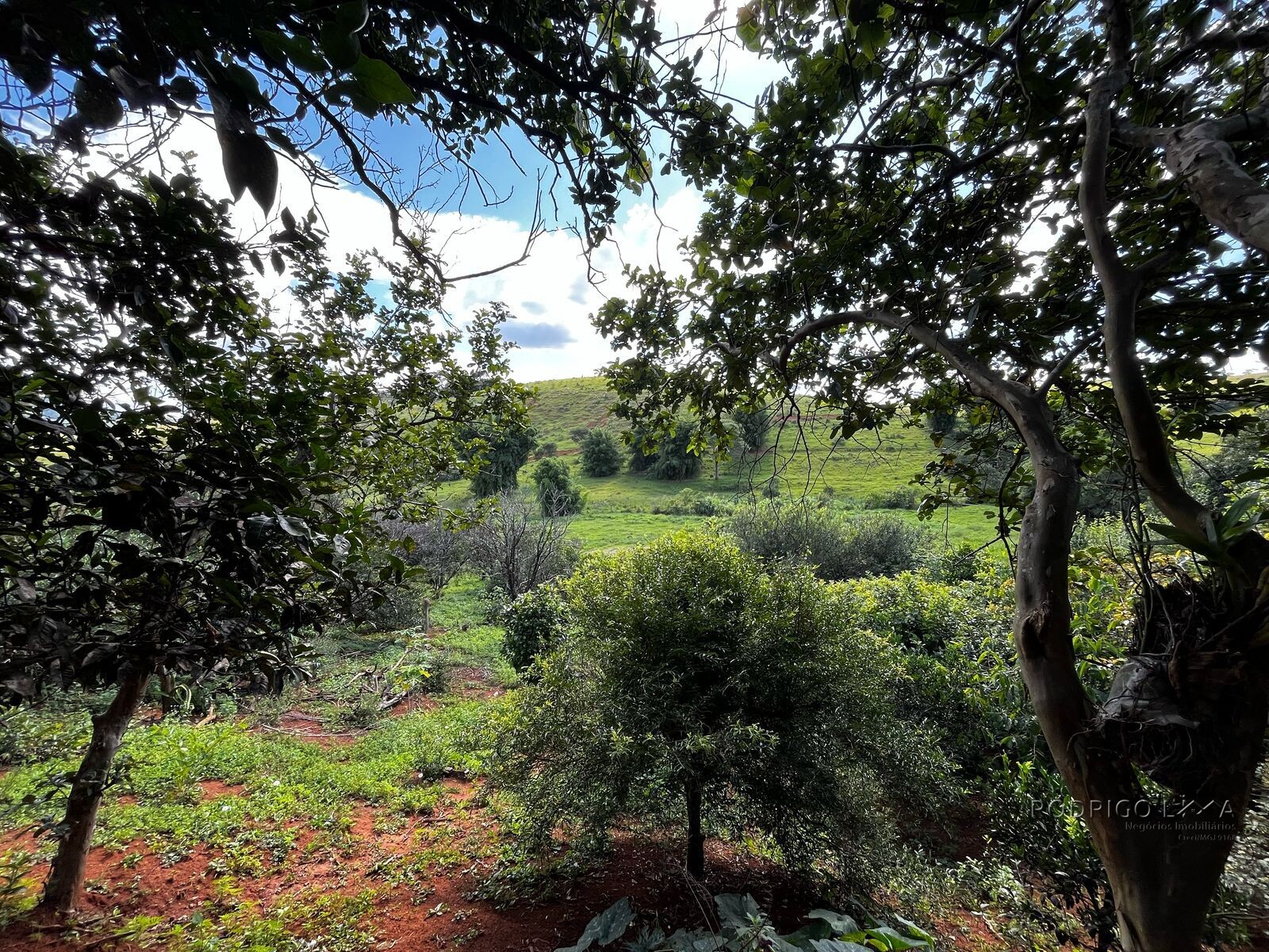 Sítio para venda em Itanhandu MG