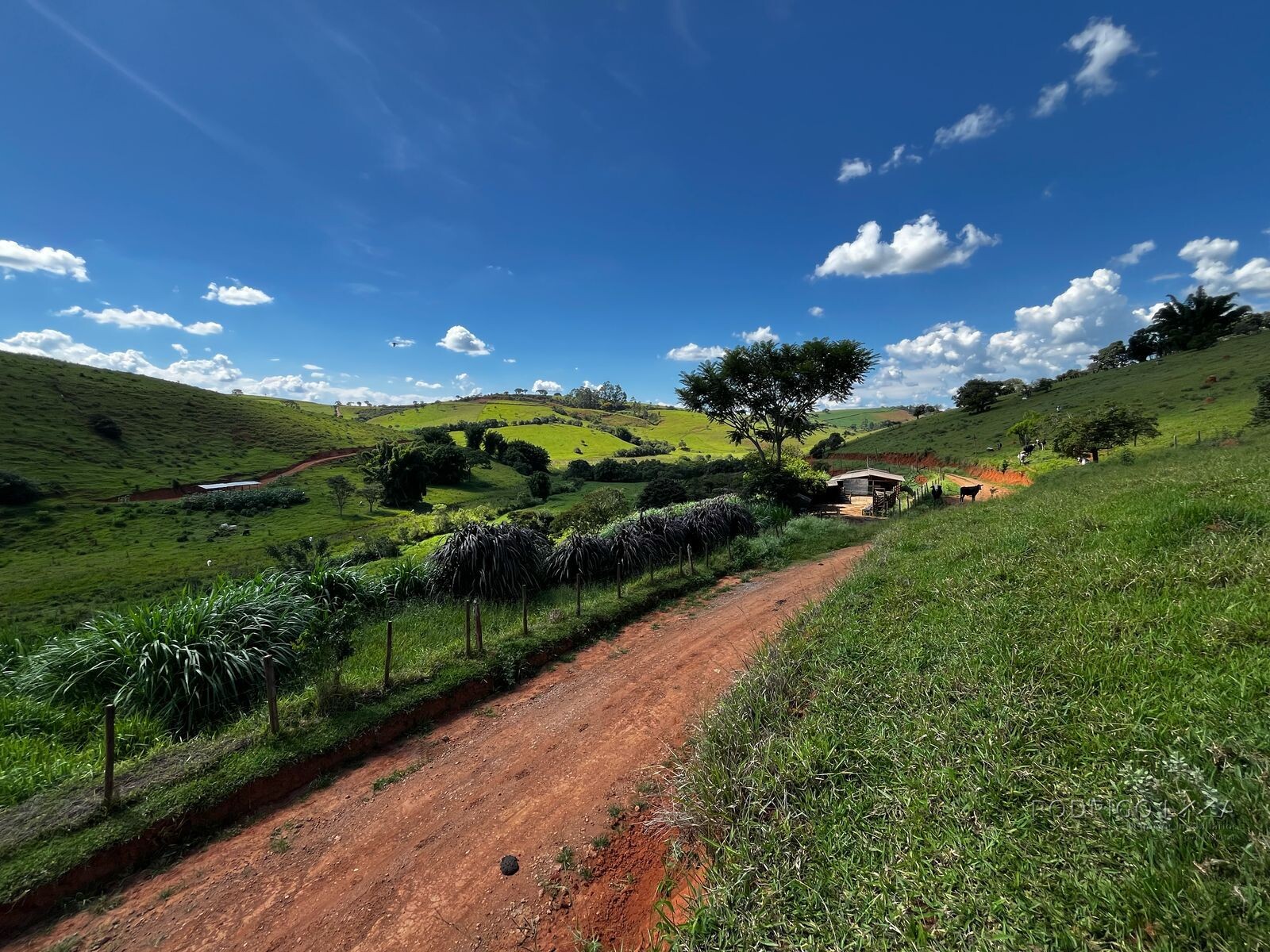 Sítio para venda em Itanhandu MG