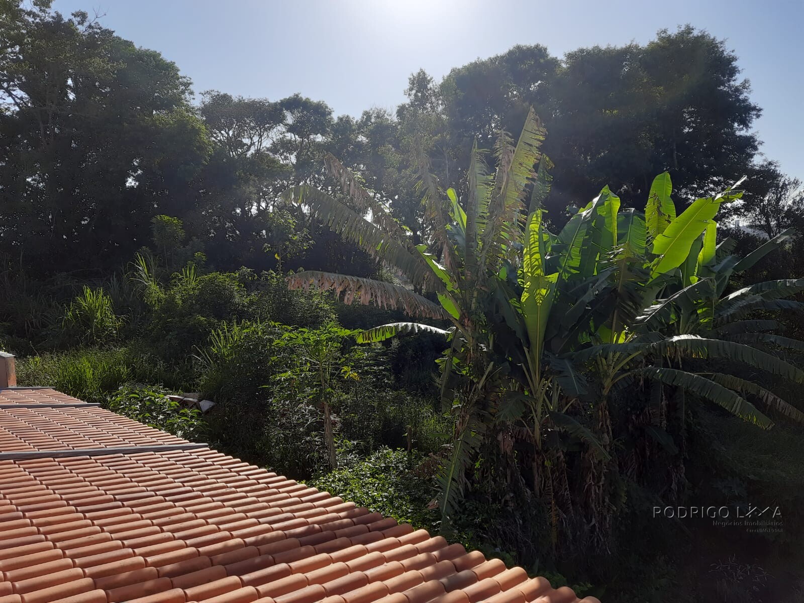 Terreno para venda em São Lourenço Mg
