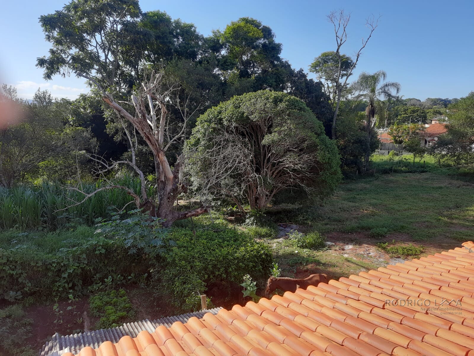 Terreno para venda em São Lourenço Mg
